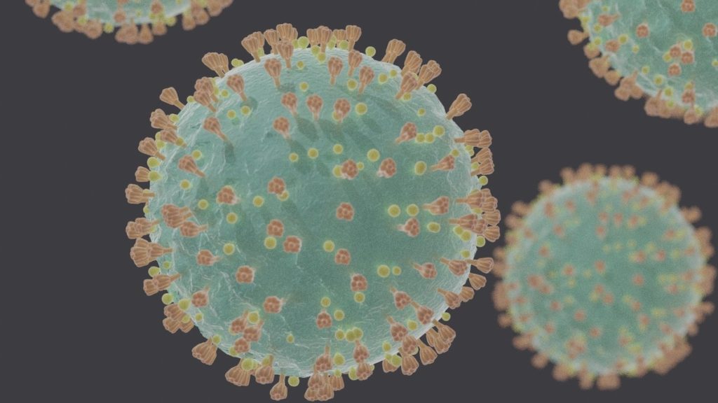 A graphic illustration of a Coronavirus spore.