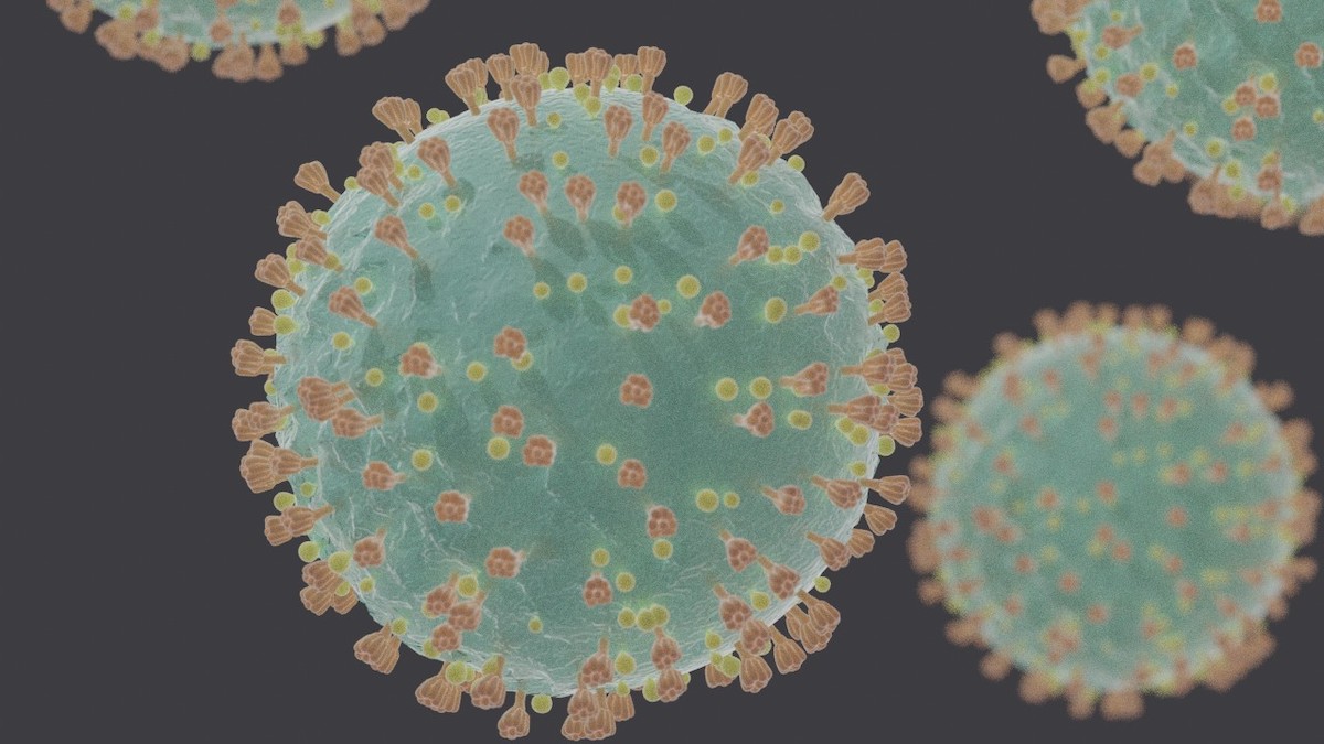 COVID-19 Coronavirus: What Medical Imaging Tells Us
